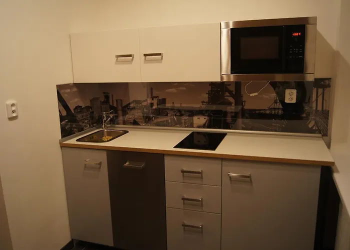 Apartmany Ostrava Апартаменты *