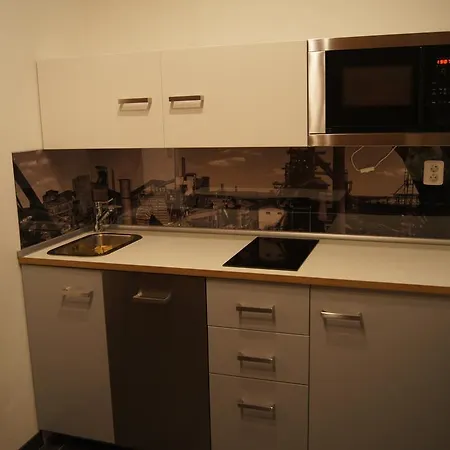 俄斯特拉发公寓式酒店 公寓 *